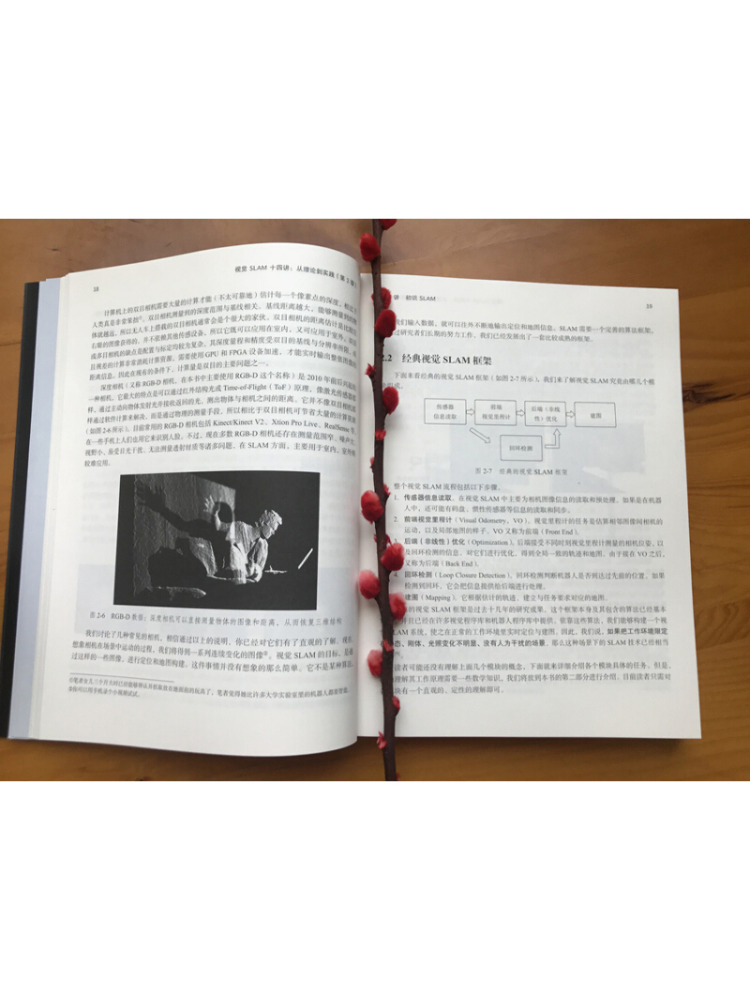 Book-Winshare Fourteen Lecture - Industrial Visual reseña y precio